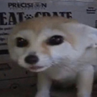 mischiEf 9019 artist photo