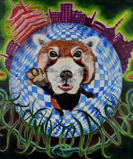 Beautiful Red Panda