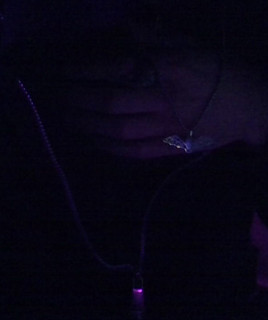 Shy