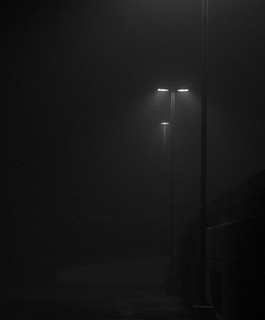 Paul Venice