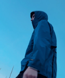Mole