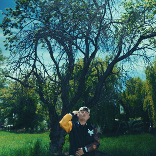 krayzon