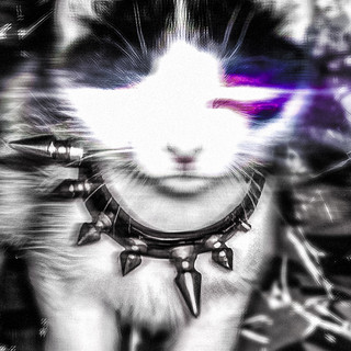 VLNCRSH