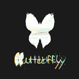 Butterfly Trajectory Photo