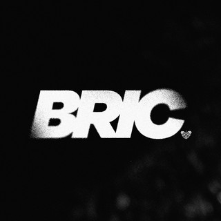 Brickcity