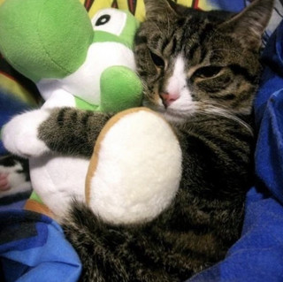 Chiggie