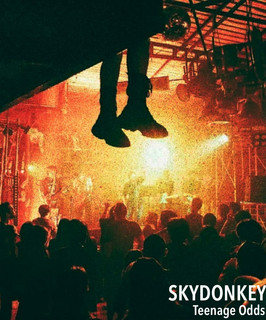 Skydonkey