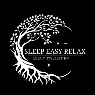 Sleep Ezy Tonight poster