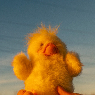 Shea