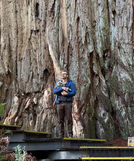 Straight White Teeth artist photo