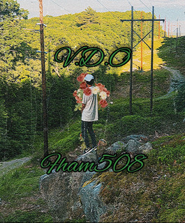 V.D.O