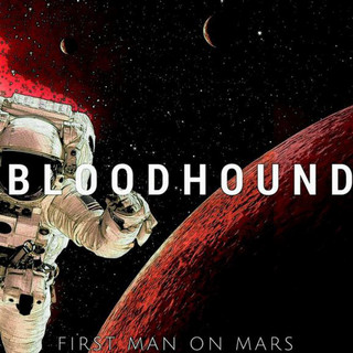 Bloodhound