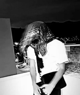 Fvck DG