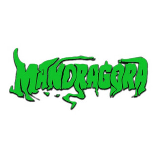 Mandragora