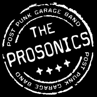 Prosonic Photo