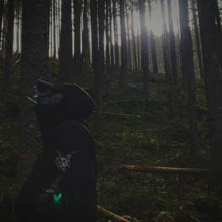 Starzec