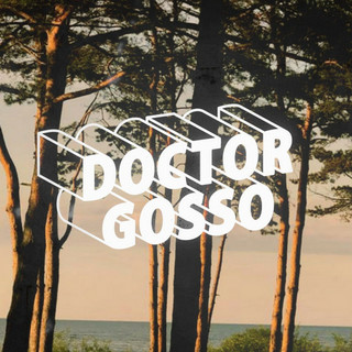 doctor gosso & the samplers