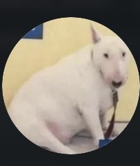 Moriré si olvido