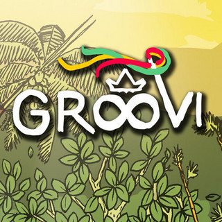 GrooVI poster