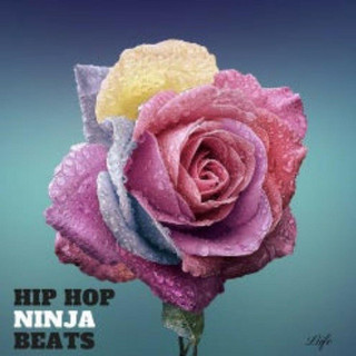 Hip Hop Ninja Beats