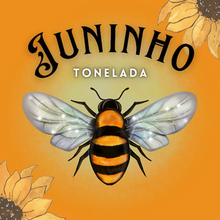 Juninho Tonelada