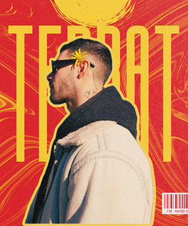 TerraT