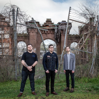 Witness Tree artist photo