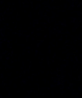 Voldex