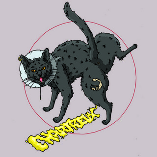 Chartreux Photo