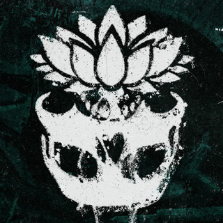 No Mud No Lotus