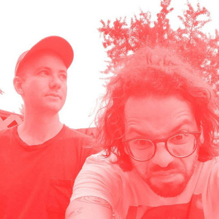 Zillas on Acid cover
