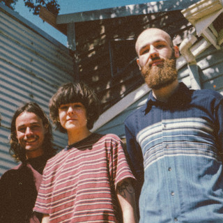 The Psychotic Reactions poster