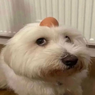 Wikeh