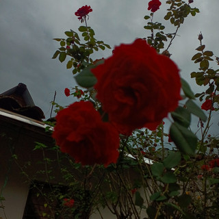 HXRTNXVV artist photo