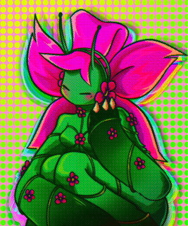 N.FEMINATI0N