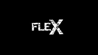 FLEX