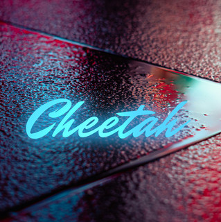 Cheetah