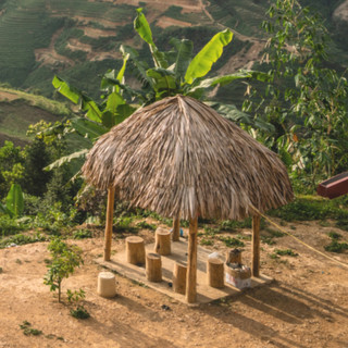 Sacred Spirit poster