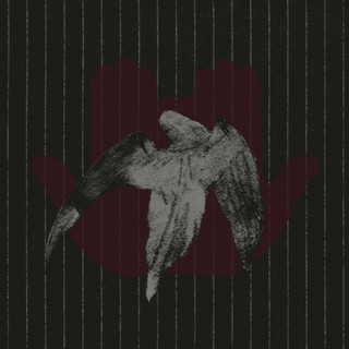 recuerdo acariciar con miedo las alas de un ave herida poster