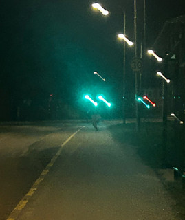 Kyrkogaard