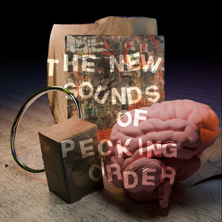Pecking Order