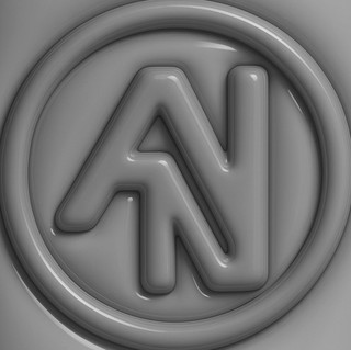 Arian neto
