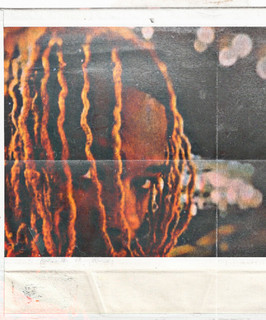 Gav cover