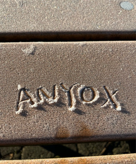 ANYOX