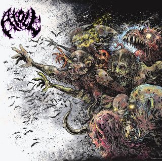 Atoll cover