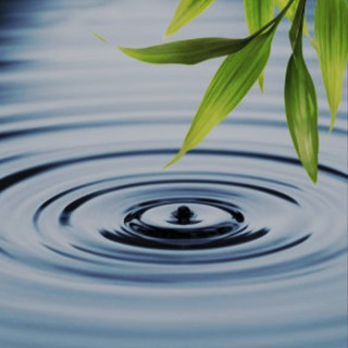 Silent Haven Music artist photo