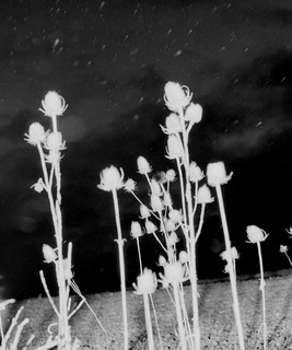 DETROIT TECH