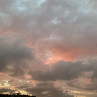 Mary Bissonette poster