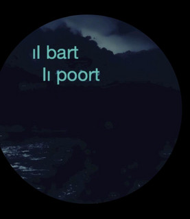 Bart Poort cover