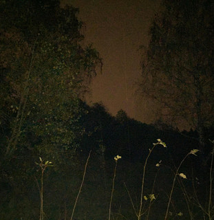 NU:N Photo